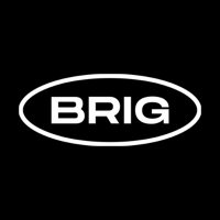 Birmingham Race Impact Group(@WeAreBRIG) 's Twitter Profile Photo