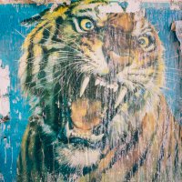 Pietro Percoco (@percocopietro) 's Twitter Profile Photo