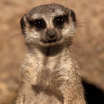 Elojo00's profile picture. 