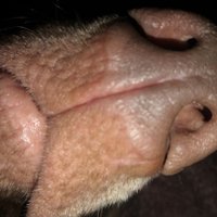 Woopedeedoo (@woopedeedonot) Twitter profile photo