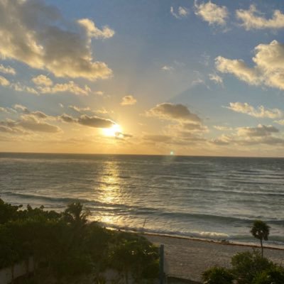 patriciaployo's profile picture. 