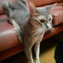 まりぃ - @mary1008lovin - Twitter