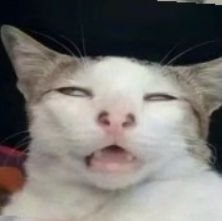 Berkeatman's profile picture. 𝙄𝙘𝙝 𝙝𝙖𝙗𝙚 𝙢𝙚𝙞𝙣 𝙇𝙚𝙗𝙚𝙣 𝙨𝙖𝙩𝙩:)