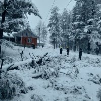 STD Sopore SD Tangmarg (@sdtangmarg) 's Twitter Profile