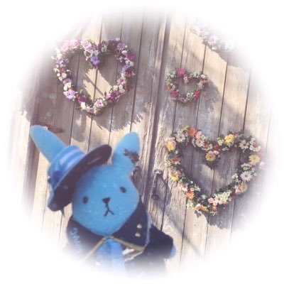 れなぴ。さんのプロフィール画像