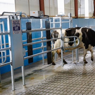 Sligo man, Living in Kildare, Working for Alfco Farm Services 🇮🇪. Developing & installing Alfco Rope Scrapers and Alfco Drafting Gates. #ALFCO