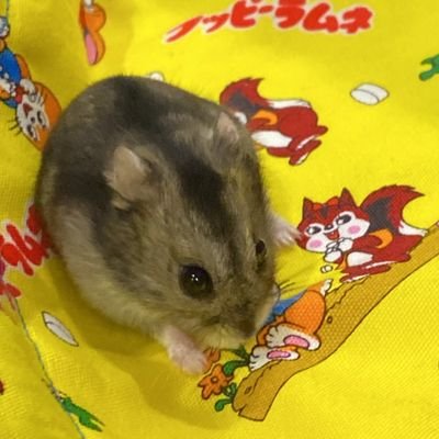ツウさんのプロフィール画像