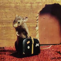 z03r3n (@z03r3n) 's Twitter Profile