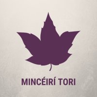 Mincéirí Tori - One Gammon-Cant word a day.(@MinceiriTori) 's Twitter Profile Photo