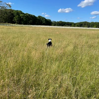 dtcorson's profile picture. 