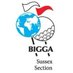 Bigga Sussex Section (@Bigga_Sussex) Twitter profile photo