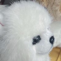동그라미 (@circle_0218) 's Twitter Profile
