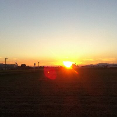 志村けんぞう Pankichi0301 Twitter