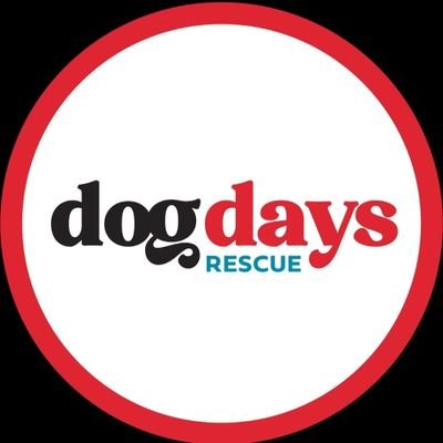Dog Days is a foster-based, nonprofit #rescue, that has a big heart for all #dogs, including those that need the most care.