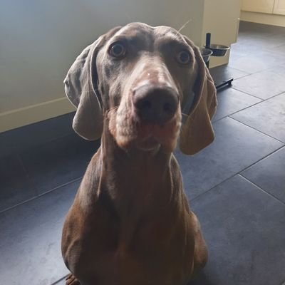 helderzwaar's profile picture. Architectuur | PSV | Man van 1 | Papa van 3 | volgt vaak in stilte | geniet van jullie humor