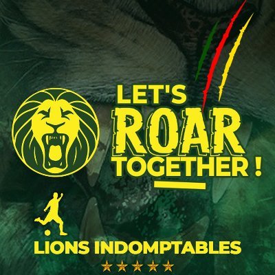 Indomitables Lions of Cameroon official account