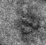 H1WmalGEF8RXWxu's profile picture. 