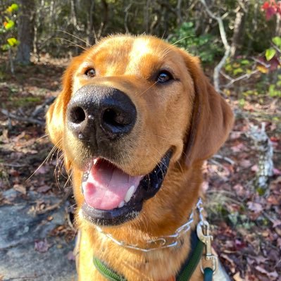 ogbuckner_'s profile picture. 