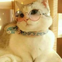 kiran (@kiranviewz) 's Twitter Profile Photo kiran (@kiranviewz) 's Twitter Profile Photo