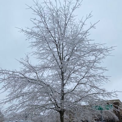 Mayank191624361's profile picture. Cool