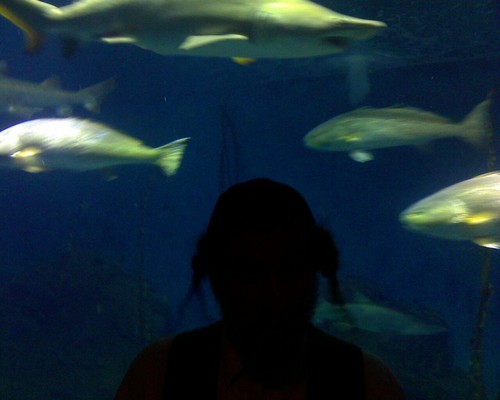 HackedAccount's profile picture. 