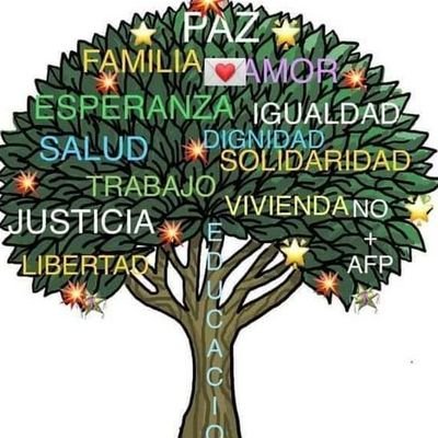 itselitse's profile picture. De Chile... Convencido de que "El sueño se hace a mano y sin permiso"