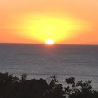 George of the Jungle (@george_thepro) 's Twitter Profile Photo George of the Jungle (@george_thepro) 's Twitter Profile Photo