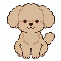 kuri (@kuri13801604) 's Twitter Profile Photo kuri (@kuri13801604) 's Twitter Profile Photo