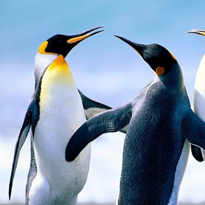 Konya1717's profile picture. 