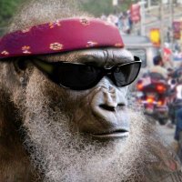 Aethrix (@aethrixbruh) 's Twitter Profile