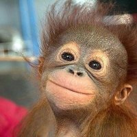 Javier (@splashjavier) 's Twitter Profile Photo