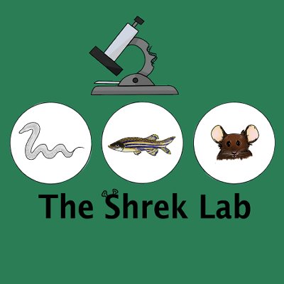 Shrek Chalasani lab at the @SalkInstitute . Genes, circuits, behavior in #celegans, mice, & other critters. #sonogenetics tool dev. Education & outreach.