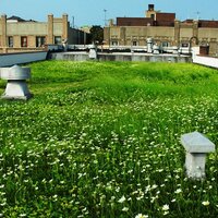 Alive Structures (@alivestructures) 's Twitter Profile