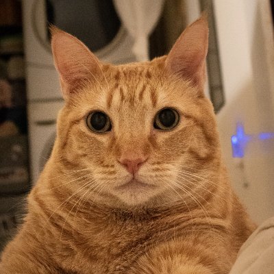 Science and critical thinking fan. Not actually a cat. He/him.

https://t.co/FxeHdPWdOz

Mastadon: https://t.co/9uo4UF3cZU