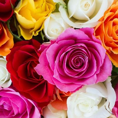 StephAn32660761's profile picture. 