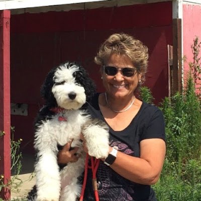 netdodger11's profile picture. 