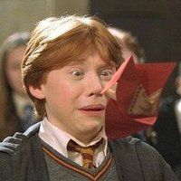 Ron Weasley (@euronweasley) 's Twitter Profile