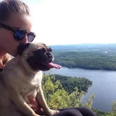 GeneTuttle2's profile picture. Oakland, San Francisco zoos must close Monday under Bay Area stay