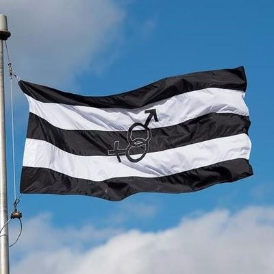 DirigentHetero's profile picture. Hetero pour toujours