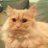 Bella47839571's profile image
