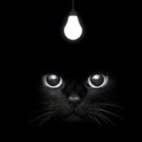 Beeps Cat(@LifesabeachSims) 's Twitter Profile Photo