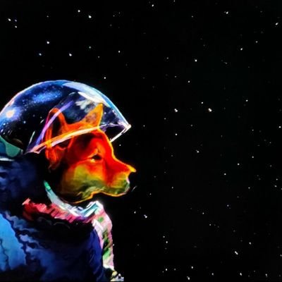 Arrived to year 2025
Mission:
To successfully become the first fox to land on the moon and create a signature move for others to follow.
Let the journey begin.