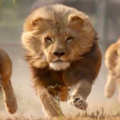 AndrewBennetto's profile picture. 