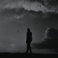 الرشيدي (@q9033526246) Twitter profile photo