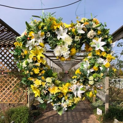 KewKG6Ax0JzoYiQ's profile picture. 完全同居して５年。義父母との同居が嫌過ぎて、家にいるのがストレス。愚痴吐く場所がほしかったのと、同じような境遇の方とつながりたくてアカウントを作ってみました。