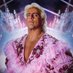 Dr Ric Flair OPP DMC JBL RUN DMC CEL ABS AMG FWIW (@RicFlairRadio) Twitter profile photo