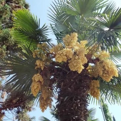 NazgulThomas's profile picture. # cooking # traveling # reading # helping people in need #
