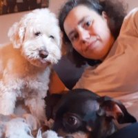 Tante Sandra 🇧🇪 🇪🇺 🏳️🌈 (@sandrapiel) 's Twitter Profile Photo Tante Sandra 🇧🇪 🇪🇺 🏳️🌈 (@sandrapiel) 's Twitter Profile Photo