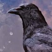 Papa Crow(@Crow_go_brr) 's Twitter Profile Photo