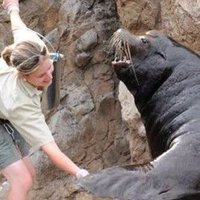 Kelly Carman - @TheGFZooKeeper Twitter Profile Photo